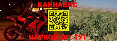 индика Рыбинск