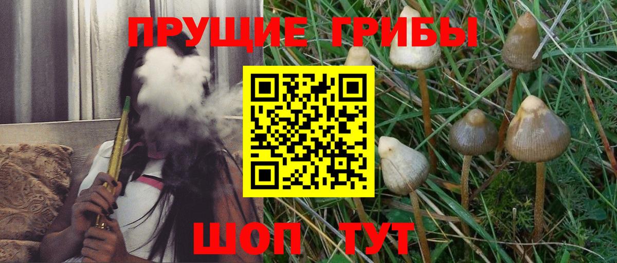 Сунжа  Псилоцибиновые грибы ЛСД  Вход с VPN 